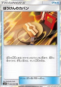 Adventure Bag - Alter Genesis (Holo Rare) [sm12-093]
