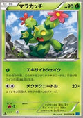 Maractus - Wild Blaze (Common) [XY2-010]