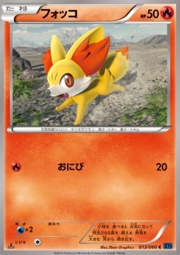 Fennekin - Collection X (Common) [XY1x-013]