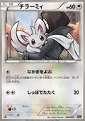 Minccino
