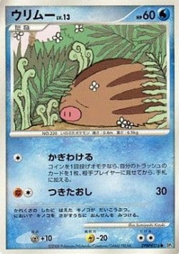 Swinub Lv.13 - Temple of Anger (Common)