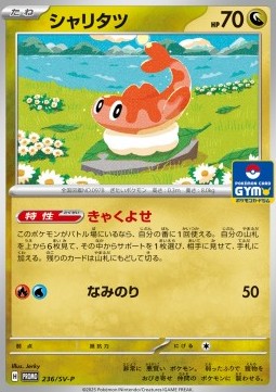 Tatsugiri - Scarlet & Violet Promos (Promo) [SV-P-236]